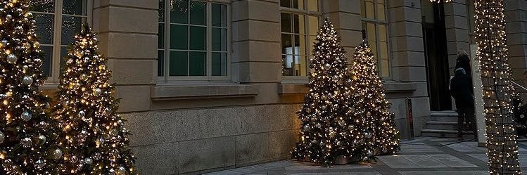 coptersmalldog's profile banner image