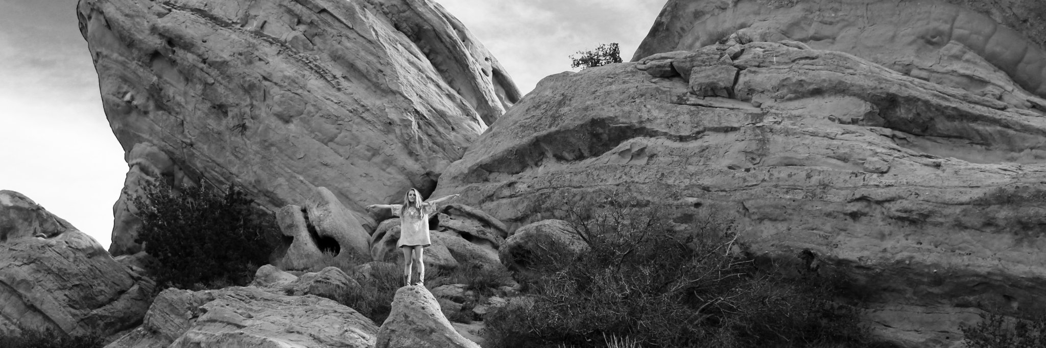 iamSIERRAMADRE's profile banner image