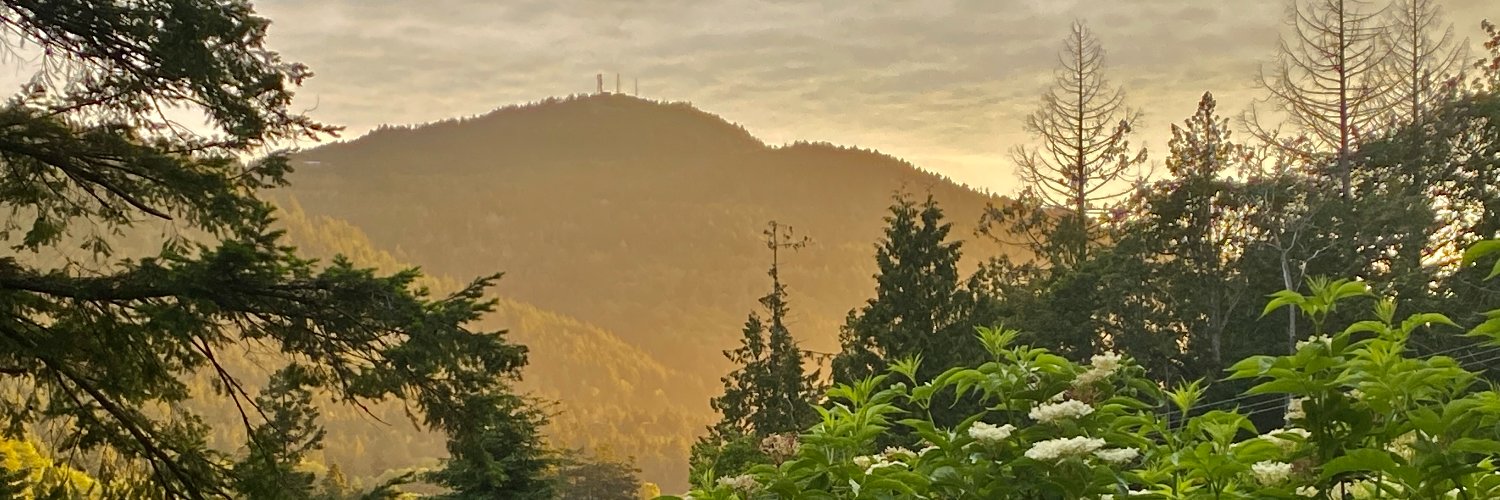 Danielle Blackwood banner