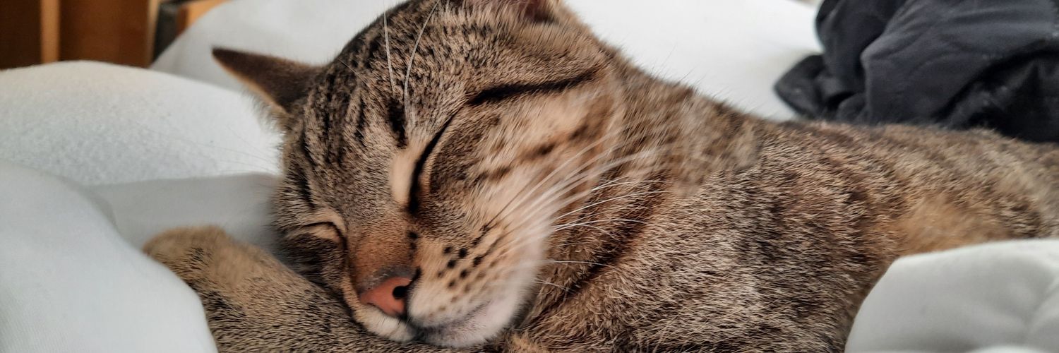 met een streepje door de o banner