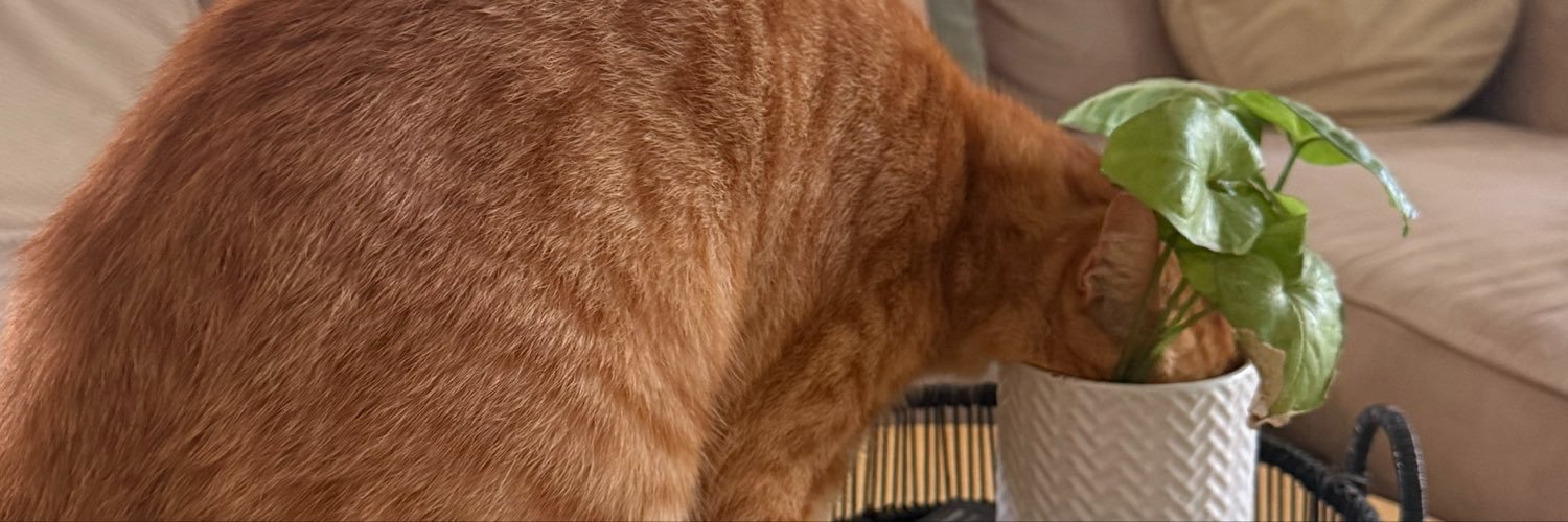 JamieKni's profile banner image