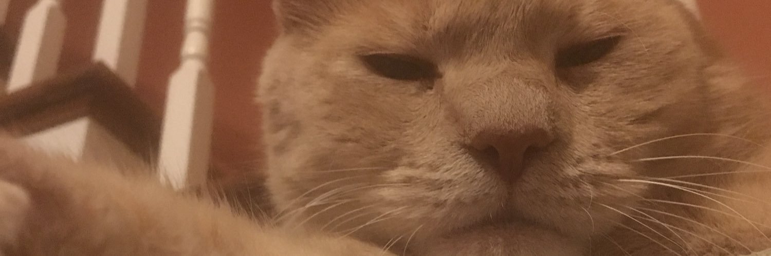 Megaaanforeeet's profile banner image