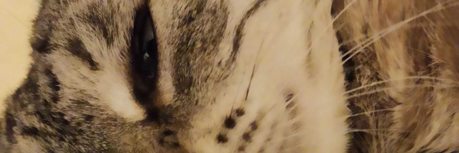 solthc19's profile banner image