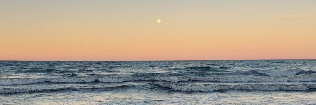 SofiPerey's profile banner image