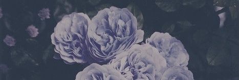 EloSparrow's profile banner image