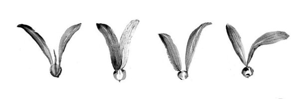 zkrhmn Profile Banner