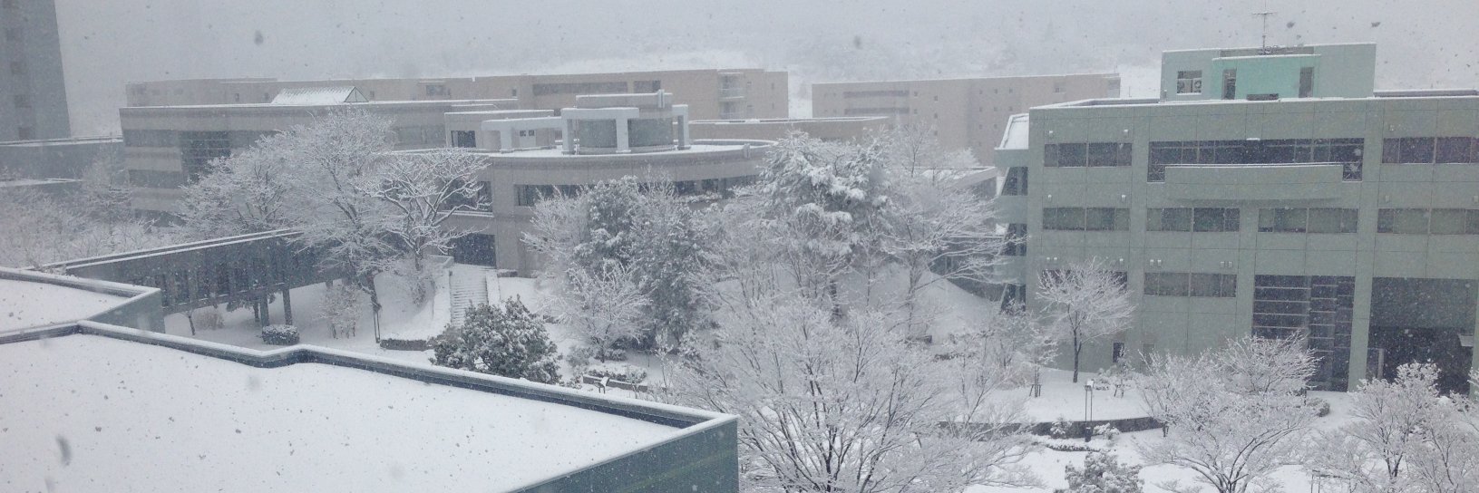 北陸先端科学技術大学院大学 banner