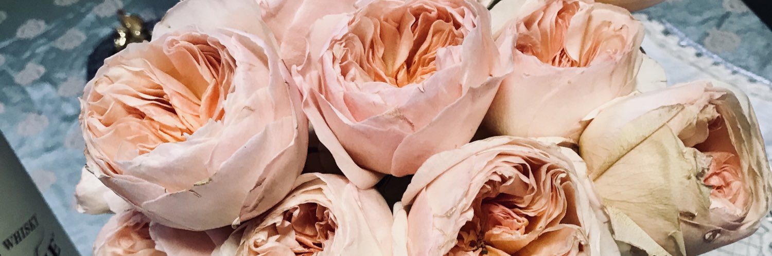 DLLavin's profile banner image