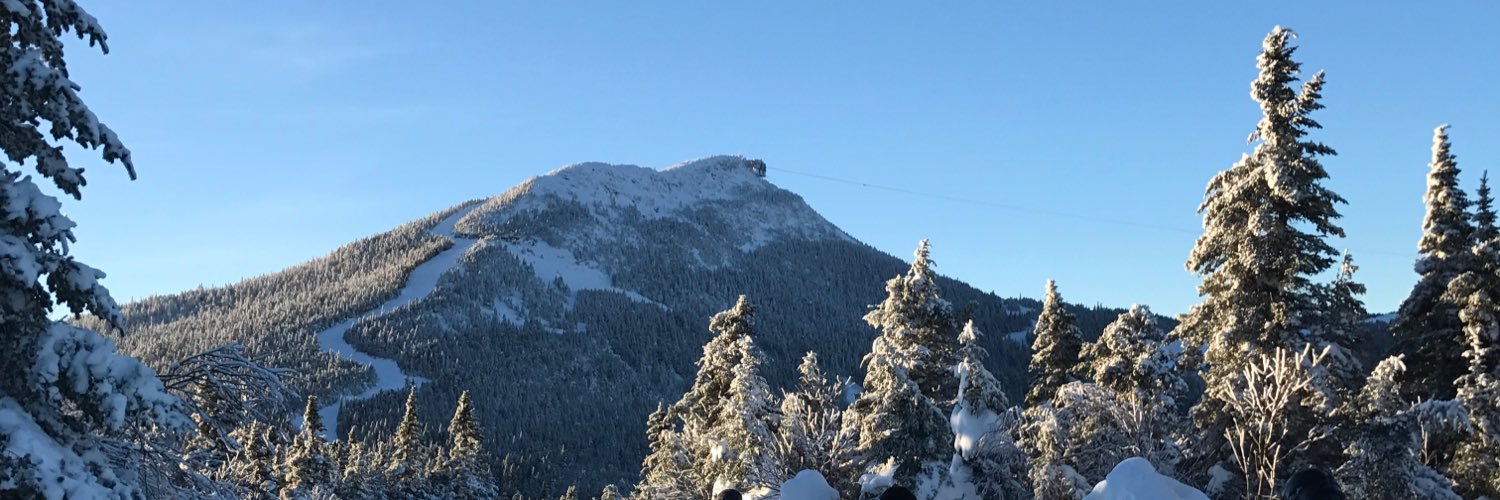 JoeyBotzz1's profile banner image