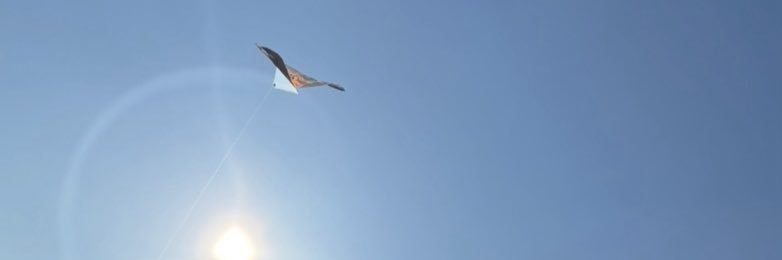 Emilyilp5's profile banner image