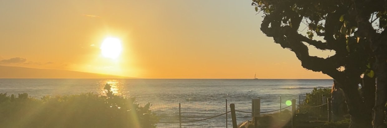 sassiscass's profile banner image