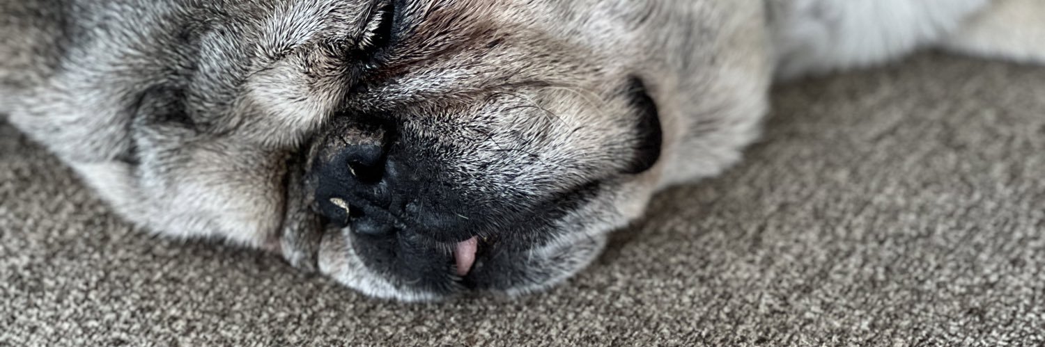 DickeyPate's profile banner image