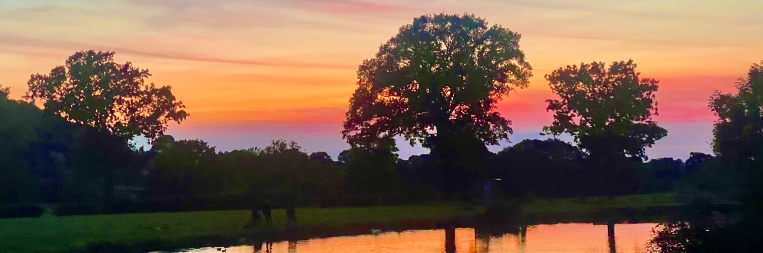 Ashley Taylor Dawson banner