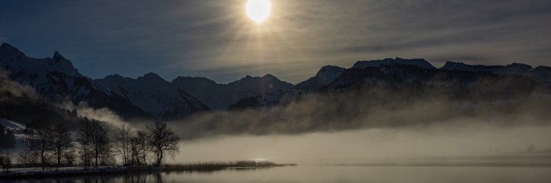 mega_von's profile banner image