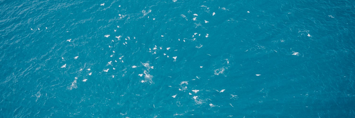 Lured_Fishing's profile banner image