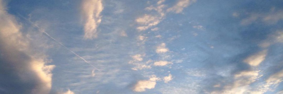 lovelapimom's profile banner image