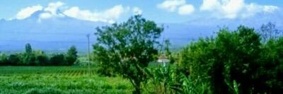 WarishEssy's profile banner image