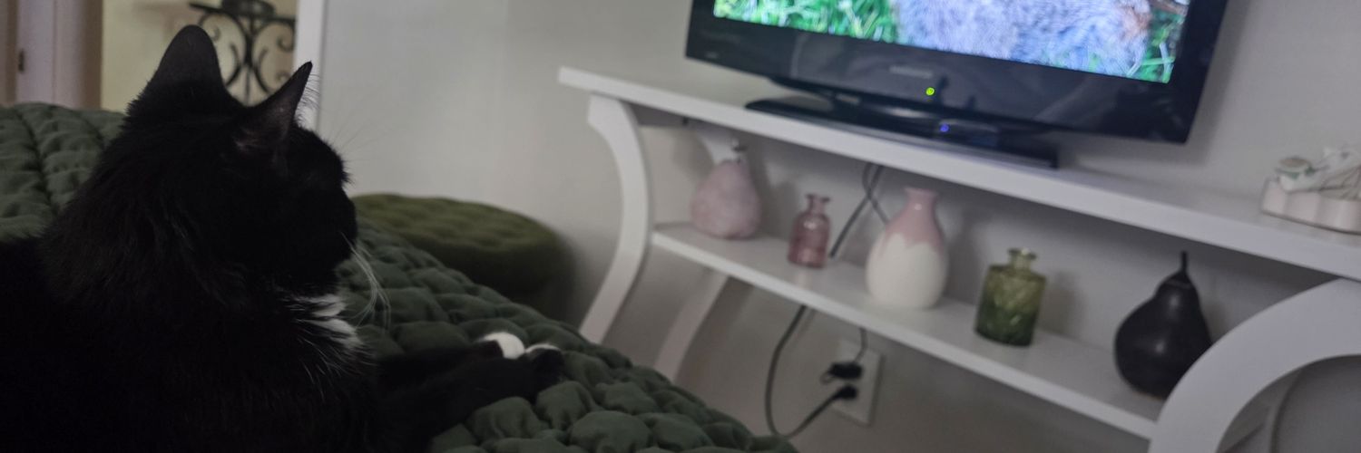 ooooDenise's profile banner image