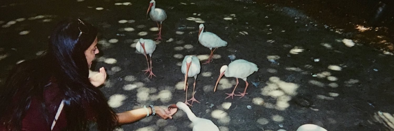 ashleylaff's profile banner image