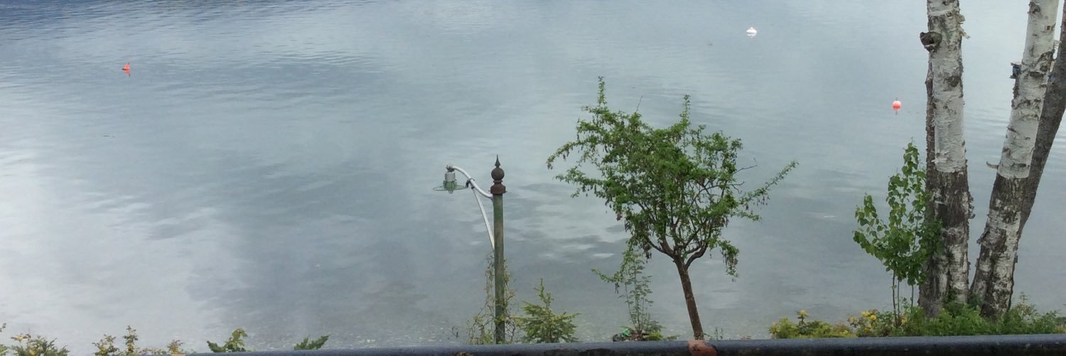 missdriver_'s profile banner image