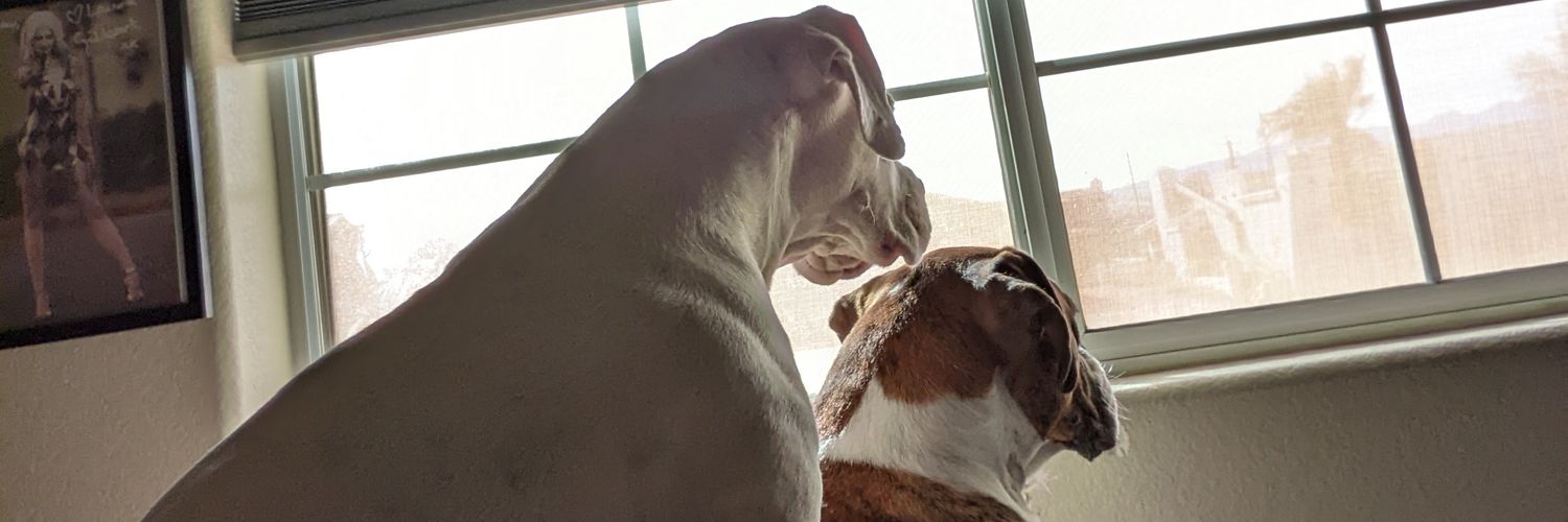 nofear298's profile banner image