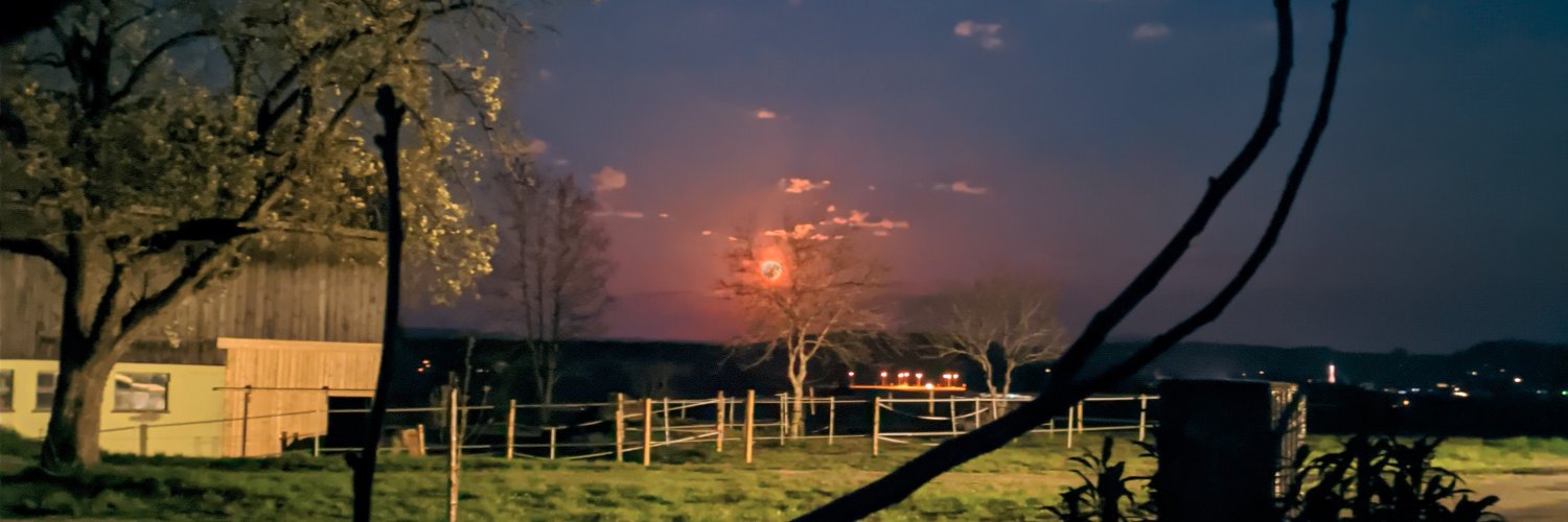 Ulrike Orso banner
