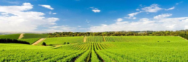 rural_security Profile Banner