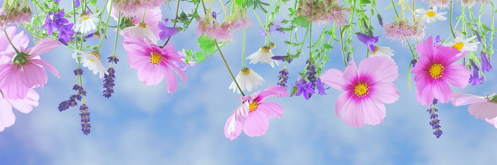 Everything Inverted banner