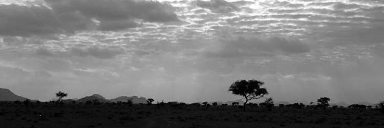 aziz99981's profile banner image