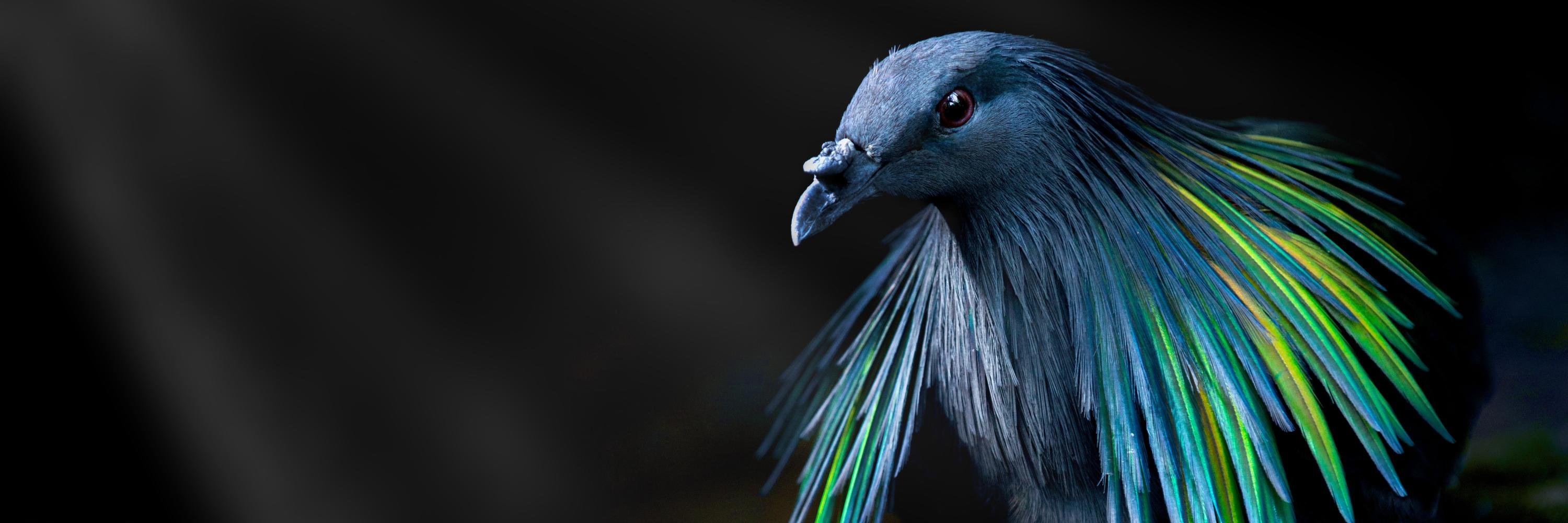 amdstorm's profile banner image