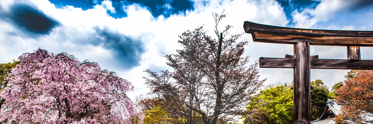 makoto takemiya 武宮誠 banner