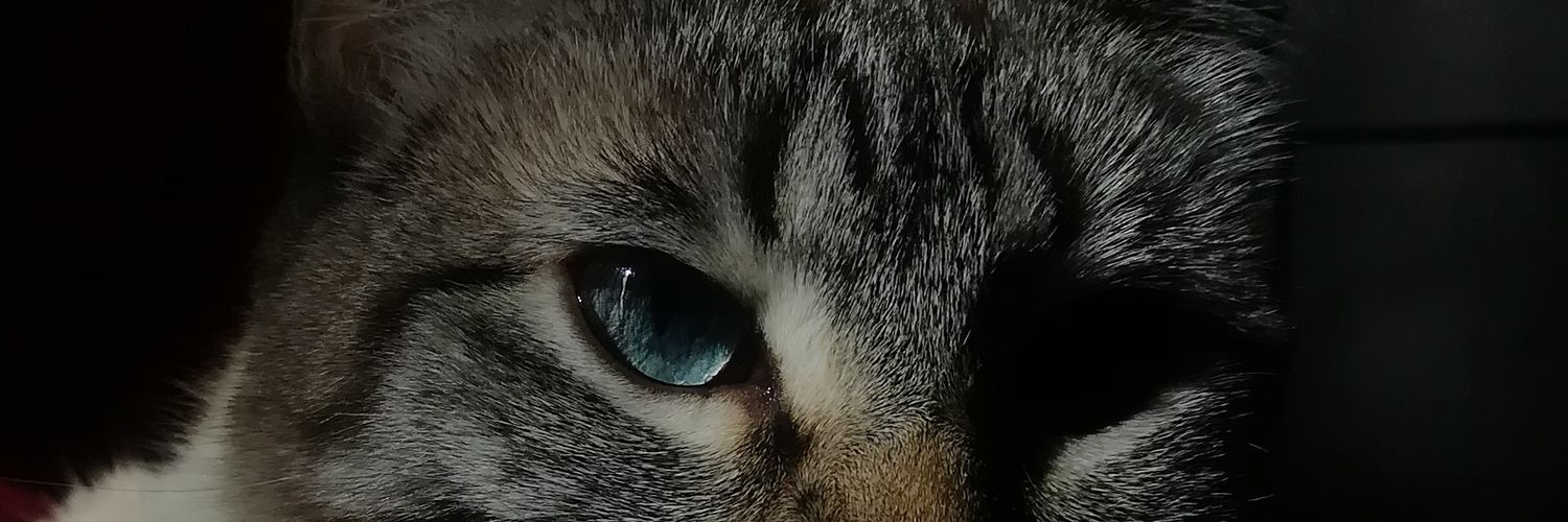 sandrink's profile banner image