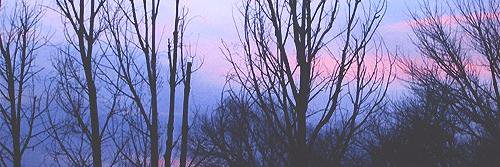 nsfwhenry's profile banner image