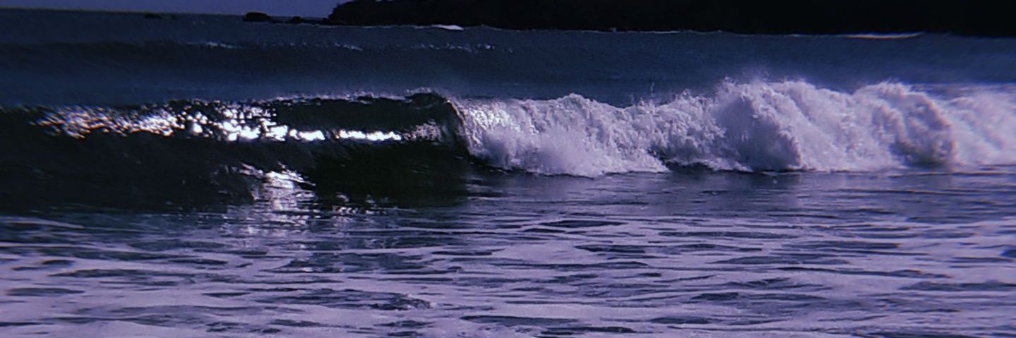 monicalibrada's profile banner image