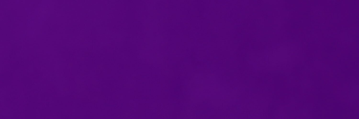 AshleeNewsom's profile banner image