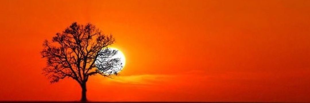 Meshari_Alayash's profile banner image