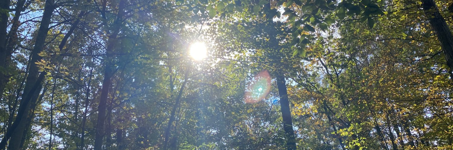 Abigail Nicole Wiley banner