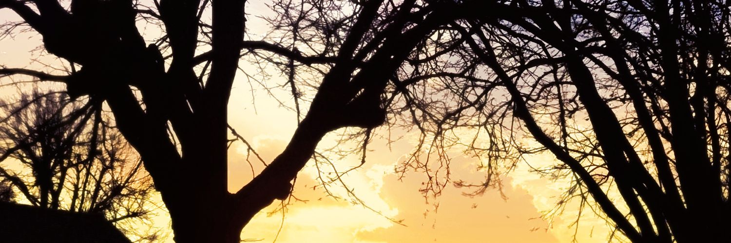 laststop08's profile banner image