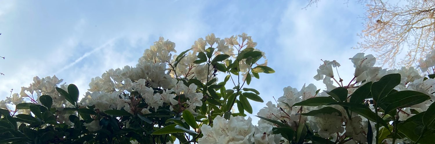 EmilyToole_'s profile banner image