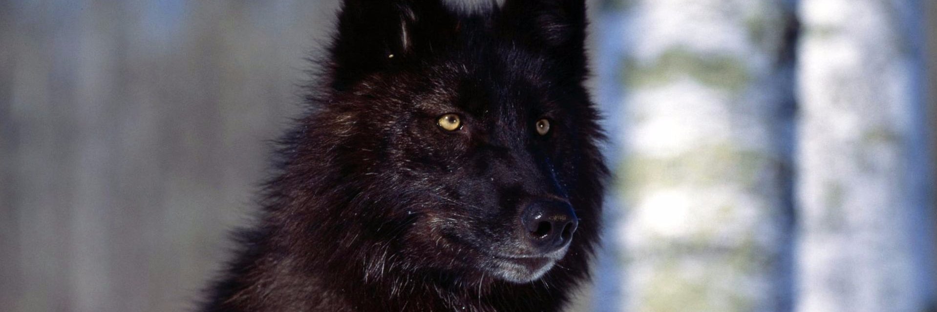 LydiaBBH's profile banner image