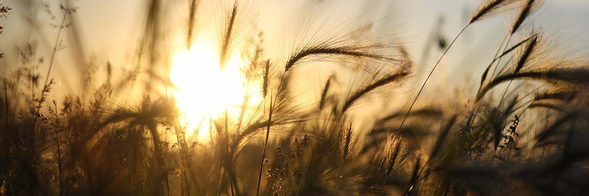 MelisaClow's profile banner image
