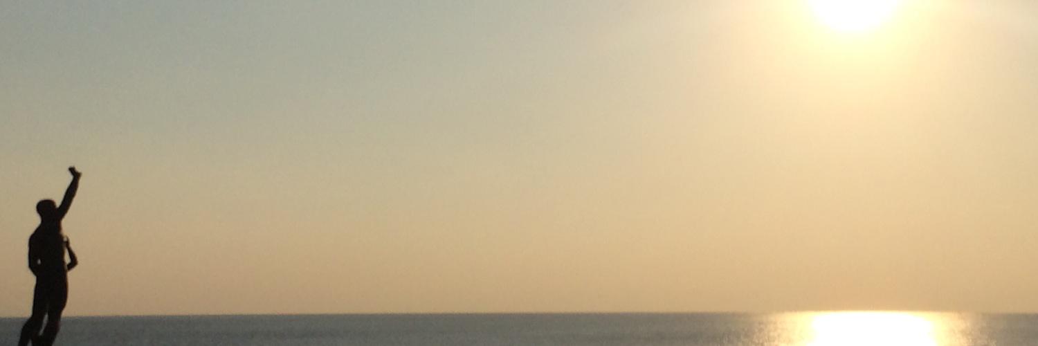 hatopyon's profile banner image