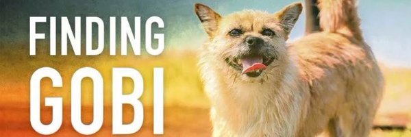 findinggobi Profile Banner