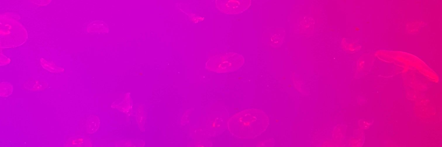 Deelanmv's profile banner image