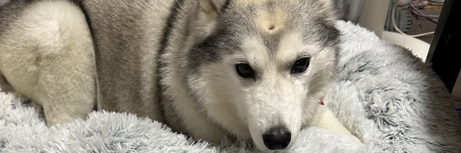 虎舞獅 ラオン banner