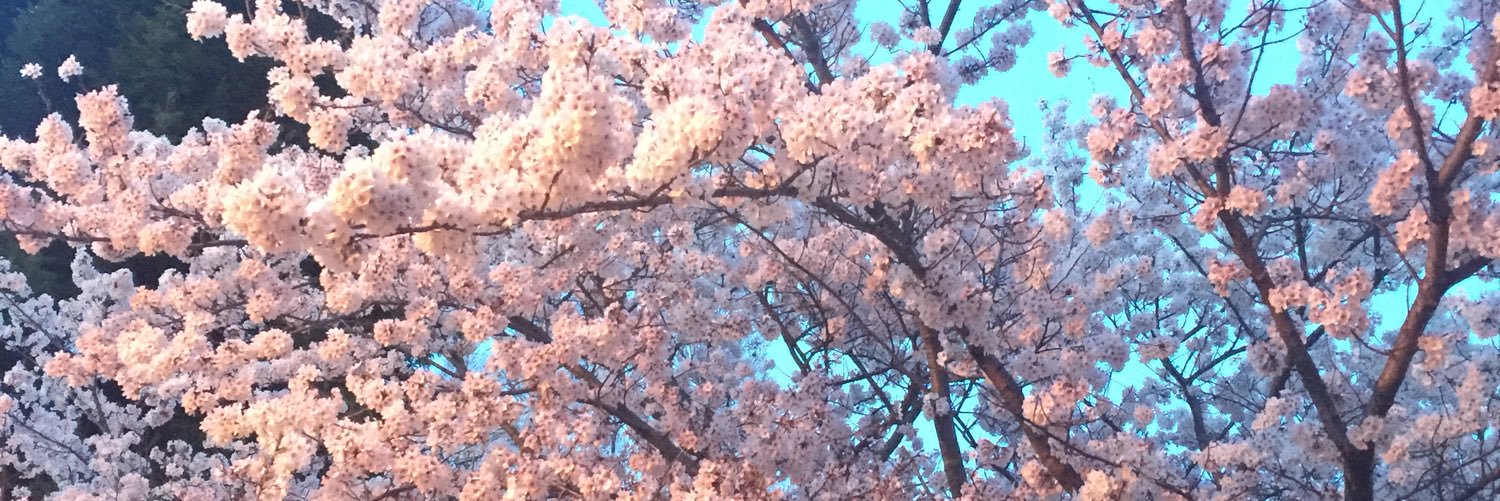 ym98nj's profile banner image