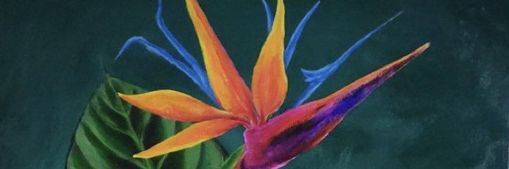 anabegtz's profile banner image