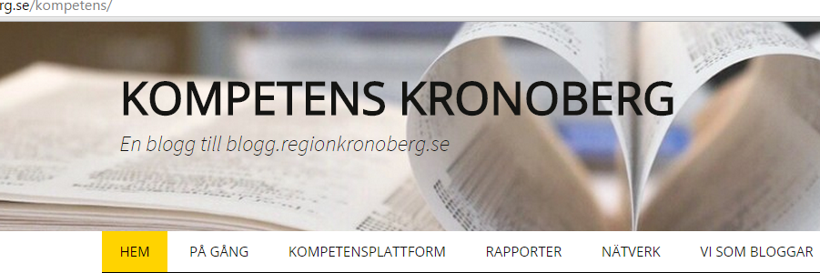 sofieschentz's profile banner image