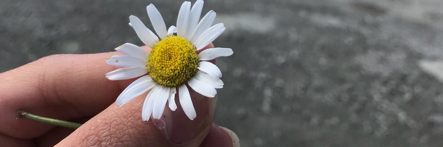Elifsuhanim's profile banner image
