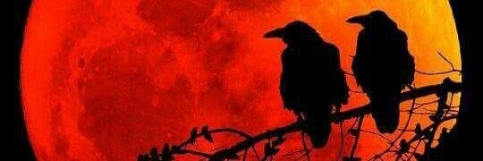 ranjith22kumar's profile banner image